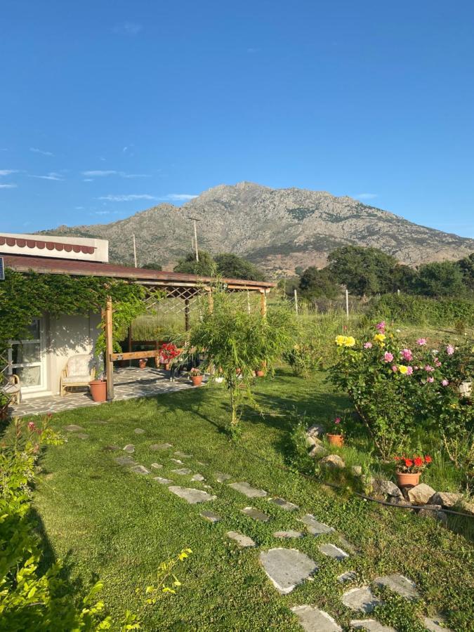 Samothraki - Sea, Mountain, Quiet Villa Екстериор снимка